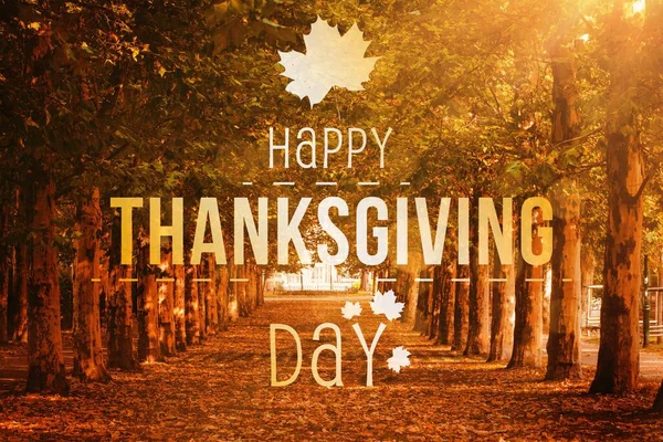 Digitalt Genererad Bild Happy Thanksgiving Day Text Mot Träd — Stockfoto