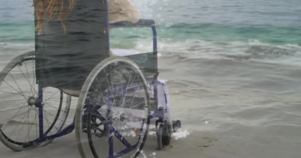 Animation Sea Landscape Disabled Cuacasian Woman Sitting Wheelchair International Day — Stock Video