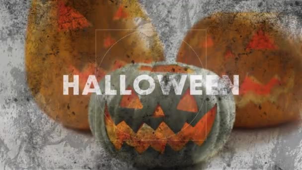 Animasi Teks Halloween Atas Labu Berukir Pada Latar Belakang Abu — Stok Video