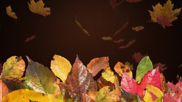 秋のアニメーションは茶色の背景に落ちています 感謝祭の日 アメリカの伝統とお祝いのコンセプトデジタル生成ビデオ — ストック動画