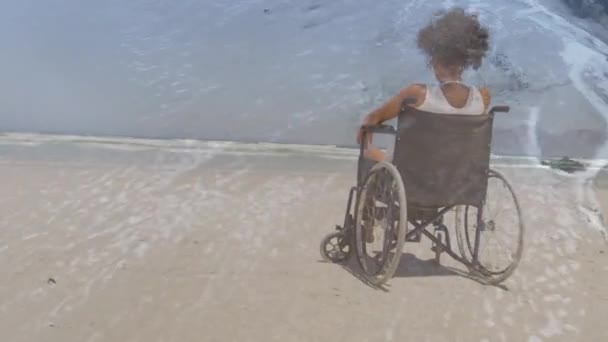 Animation Der Meereslandschaft Über Eine Behinderte Afroamerikanerin Die Rollstuhl Sitzt — Stockvideo