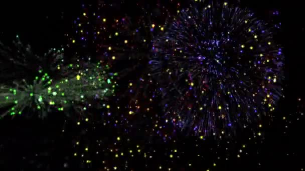 Animering Vita Partiklar Över Färgglada Fyrverkerier Exploderar Mot Svart Bakgrund — Stockvideo