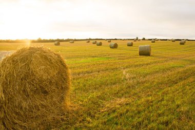 Gün batımında bulutlu gökyüzüne karşı tarlada saman balyası
