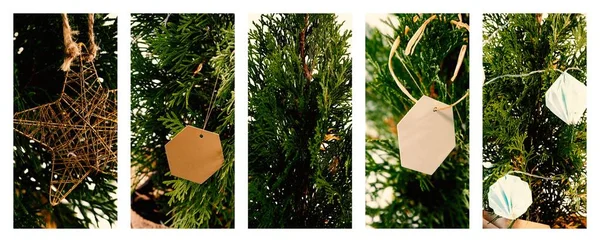 Noel Ağaçları Süslenmiş Dijital Olarak Oluşturulmuş Görüntü — Stok fotoğraf