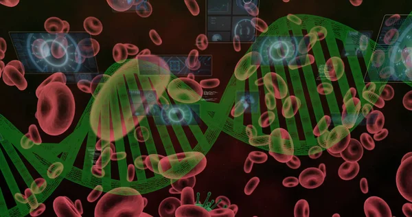 Ekranlarda Kırmızı Kan Hücreleri Dna Iplikçikleri Dürbünler Veri Işleme Görüntüleri — Stok fotoğraf