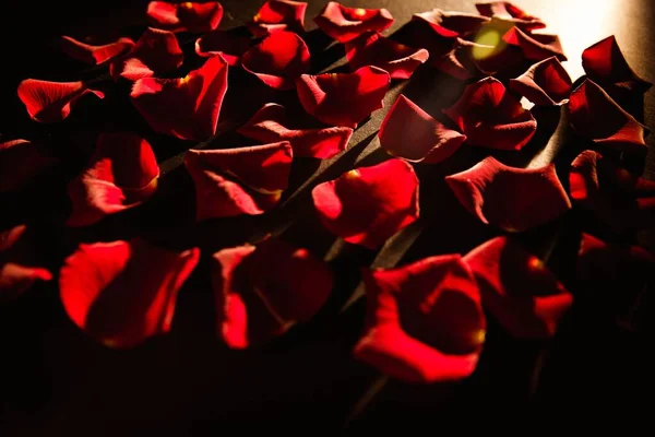 Rozproszone Czerwone Płatki Róż Stole — Zdjęcie stockowe