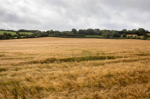 Landschaft Der Ländlichen Felder — Stockfoto