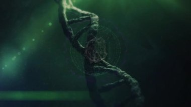 DNA yapısının, yeşil arkaplan karşısında dünya çapında dönen bağlantı ağının animasyonu. Tıbbi sağlık ve teknoloji konsepti