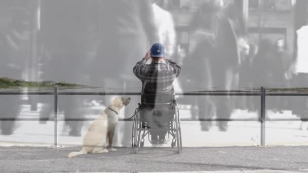 Animation People Walking Street Disabled Cuacasian Man Sitting Wheelchair International — Stock Video
