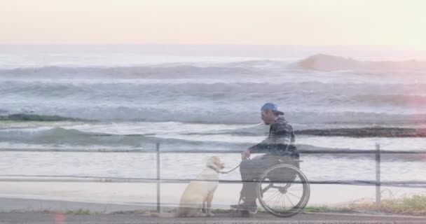Animation Sea Landscape Disabled Cuacasian Man Sitting Wheelchair His Dog — Stock Video