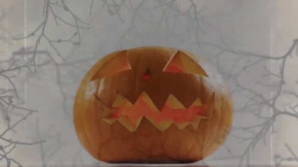 Animatie Van Halloween Gesneden Pompoen Grijze Achtergrond Halloween Herfst Herfst — Stockvideo