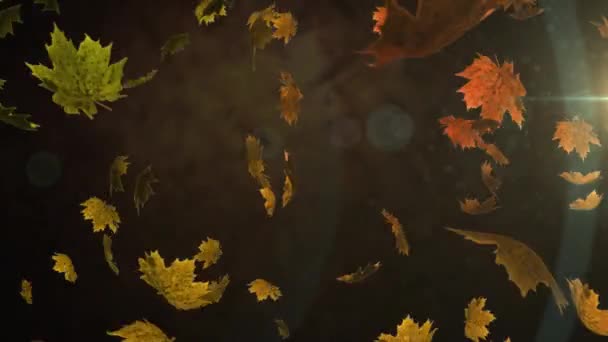 Animation Autumn Leaves Glowing Light Dark Background Thanksgiving Day Autumn — Stock Video