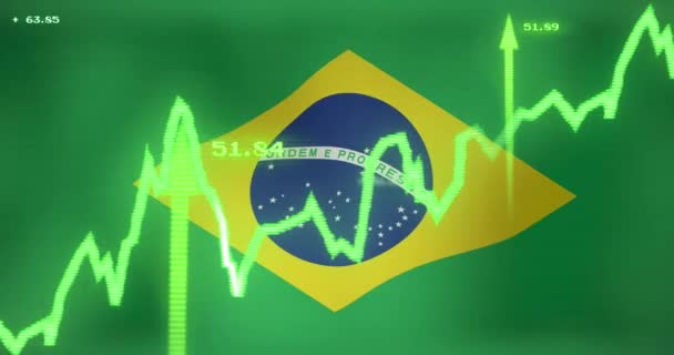 Animación Procesamiento Datos Sobre Bandera Brasil Negocios Globales Finanzas Interfaz — Vídeos de Stock