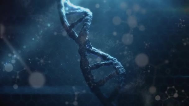 Mavi Arka Planda Moleküler Yapıların Üzerinde Dönen Dna Yapısının Animasyonu — Stok video