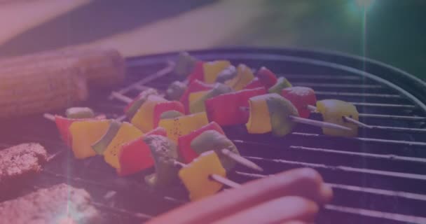 Animation Light Spots Meat Vegetables Barbecue Bbq Day Celebration Concept — Stock Video