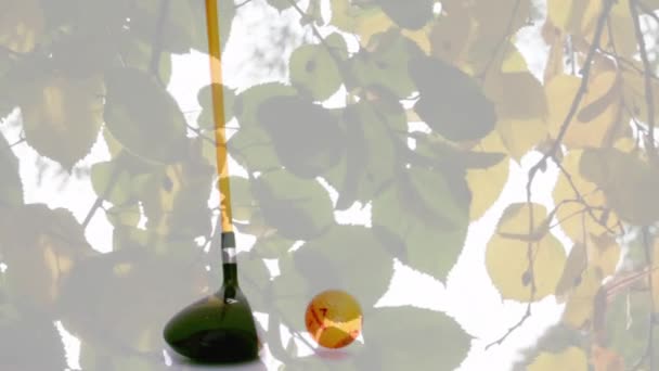 Animação Árvores Sobre Bola Golfe Clube Golfe Conceito Global Esportes — Vídeo de Stock