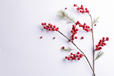 Kırmızı böğürtlenli noel süsü ve beyaz arka planda fotokopi alanı. Noel, gelenek ve kutlama konsepti.