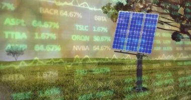 Yeşil alandaki güneş panelleri üzerinden finansal veri işleme animasyonu. Dijital olarak üretilen küresel sürdürülebilirlik, iş, yeşil ve güneş enerjisi kavramı.