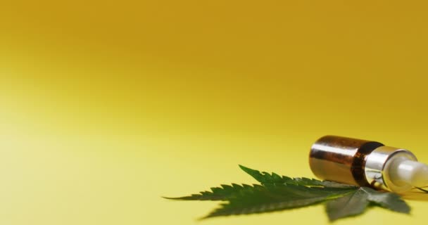 Marihuana Yaprakları Sarı Arka Planda Bir Şişe Cbd Özütü Videosu — Stok video