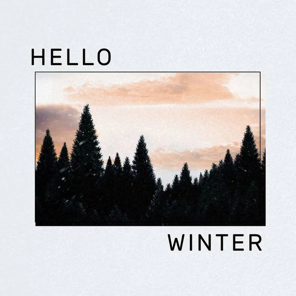 Square image of hello winter text with winter forest picture over white background. Hello winter, seasons , nature campaign.