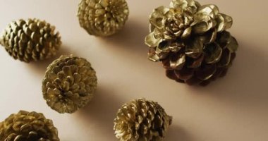 Bej yüzeyde duran çam kozalaklarının videosu. Şükran Günü, Amerikan kültürü, gelenek ve kutlama videosu.