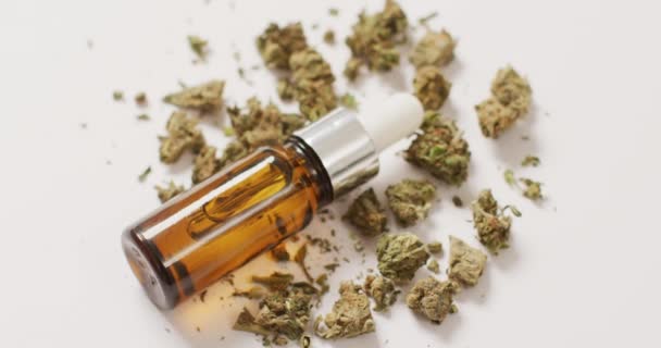 Video Von Marihuana Knospen Und Einer Flasche Cbd Extrakt Auf — Stockvideo