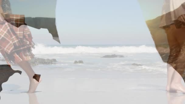 Анимация Разнообразных Друзей Пляже Морем Контуру Карты Концепция Путешествий Отдыха — стоковое видео
