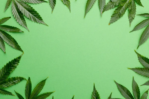 Bild Marijuanablad Liggande Vit Bakgrund Cbd Olja Medicinsk Marijuana Cannabis — Stockfoto