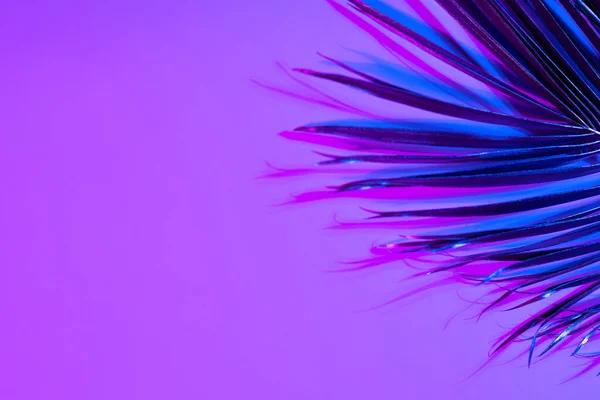 Изображение Яркого Неонового Светло Розового Листа Фиолетовом Фоне Копировальным Пространством — стоковое фото