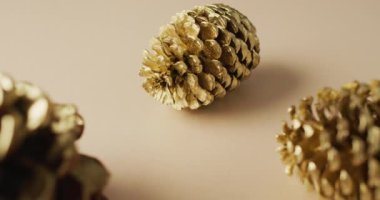 Bej yüzeyde duran çam kozalaklarının videosu. Şükran Günü, Amerikan kültürü, gelenek ve kutlama videosu.