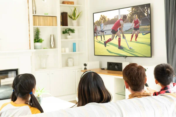 Visão Traseira Dois Amigos Sentados Casa Juntos Assistindo Jogo Hóquei — Fotografia de Stock