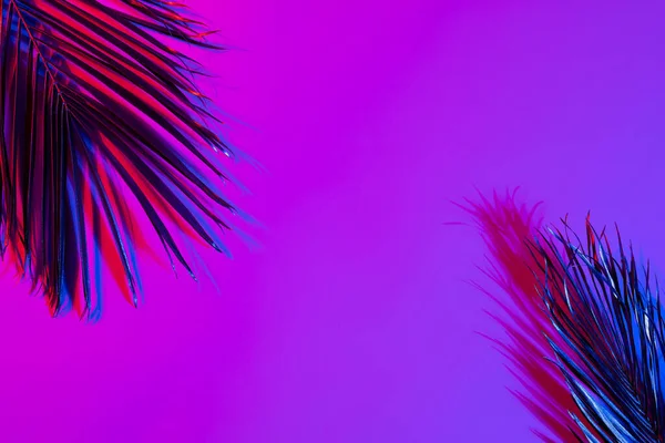 네온의 이미지가 분홍색에서 보라색의 배경으로 공간을 비추고 있습니다 색깔의 — 스톡 사진