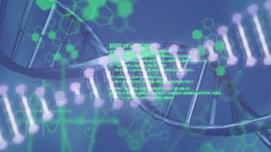 Küresel ve finansal veri işleme animasyonu. Küresel iş dijital arayüzü teknolojisi ve dijital olarak oluşturulan ağ konsepti.