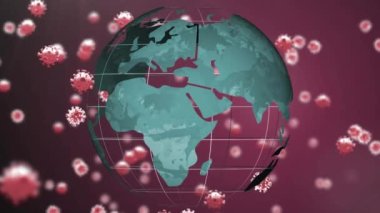 Koyu arkaplanda dönen dünya üzerinde düşen 19 hücrenin animasyonu. Genel covid 19 salgın konsepti dijital video oluşturuldu.