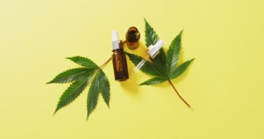 Marihuana yaprakları ve sarı arka planda bir şişe cbd özütü videosu. Sağlık tedavileri ve tıbbi yardımlar için Cbd, cannabidiol özü ve esrar