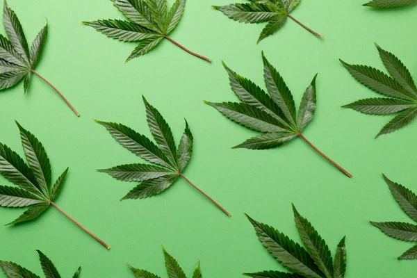 Bild Marijuanablad Liggande Grön Bakgrund Cbd Olja Medicinsk Marijuana Cannabis — Stockfoto