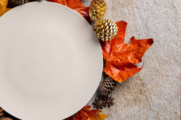 Overhead view of plate with autumn decoration and copy space on grey background. Thanksgiving, autumn, fall, american tradition and celebration concept.