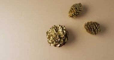 Bej yüzeyde duran çam kozalaklarının videosu. Şükran Günü, Amerikan kültürü, gelenek ve kutlama videosu.