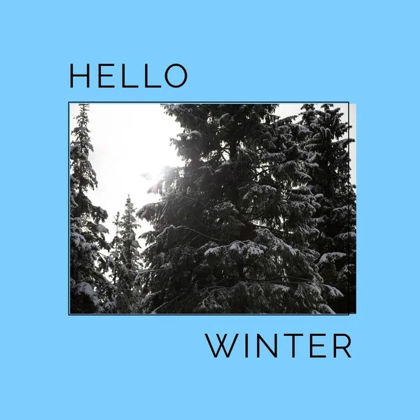 Square image of hello winter text with winter forest picture over blue background. Hello winter, seasons , nature campaign.