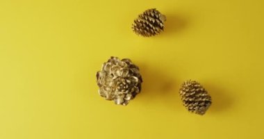 Sarı yüzeyde yatan çam kozalaklarının videosu. Şükran Günü, Amerikan kültürü, gelenek ve kutlama videosu.