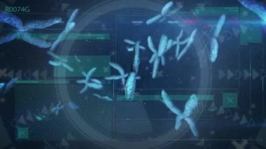 Kan damarlarının ve DNA yapısının, kara arkaplanla karşılaştırılması üzerine animasyonu. Tıbbi araştırma ve bilim teknolojisi kavramı