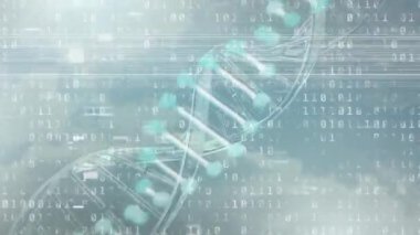 İkili kodlama veri işleme üzerine simgelerle bağlantı ağının animasyonu. Küresel iş iletişimi ve veri konsepti dijital olarak oluşturulmuş video.
