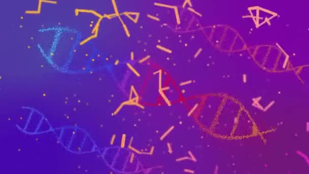 Animation Shapes Dna Strands Global Science Digital Interface Concept Digitally — Stock Video