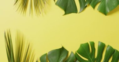 Sarı arka planda yeşil yemyeşil yaprakların fotokopi alanı ile canlandırılması. Arkaplan, telif alanı ve renk kavramı.