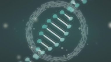 Dönen DNA yapısının animasyonu ve yeşil arka planda parlayan ışık noktaları. Tıbbi araştırma ve bilim teknolojisi kavramı