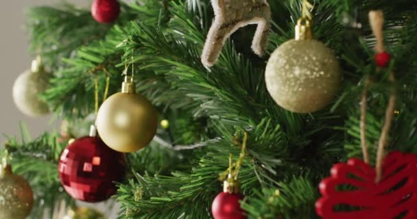 Zbliżenie Bożonarodzeniowych Kulek Dekoracji Zielonej Choince Boże Narodzenie Tradycja Koncepcja — Wideo stockowe