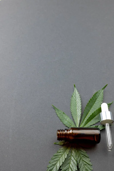Marihuana Yaprağının Dikey Görüntüsü Gri Yüzeyde Bir Şişe Cbd Yağı — Stok fotoğraf