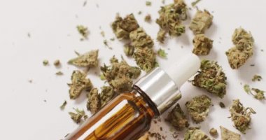 Esrar tomurcukları ve beyaz arka planda bir şişe cbd özütü videosu. Sağlık tedavileri ve tıbbi yardımlar için Cbd, cannabidiol özü ve esrar.