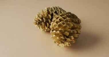 Bej yüzeyde duran çam kozalaklarının videosu. Şükran Günü, Amerikan kültürü, gelenek ve kutlama videosu.