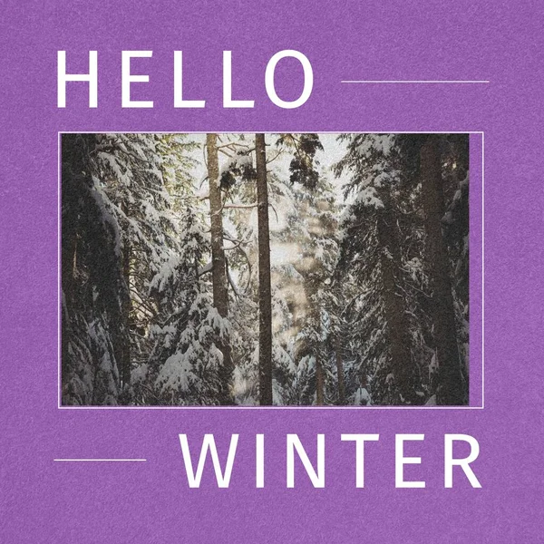Square image of hello winter text with winter forest picture over purple background. Hello winter, seasons , nature campaign.